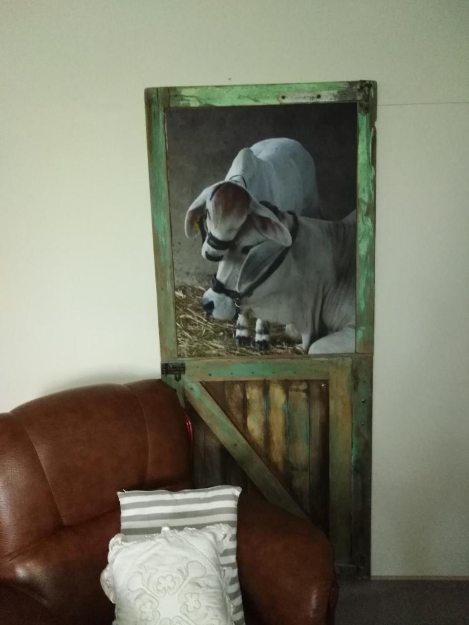 Die Windpomp Guesthouse Gobabis Bagian luar foto